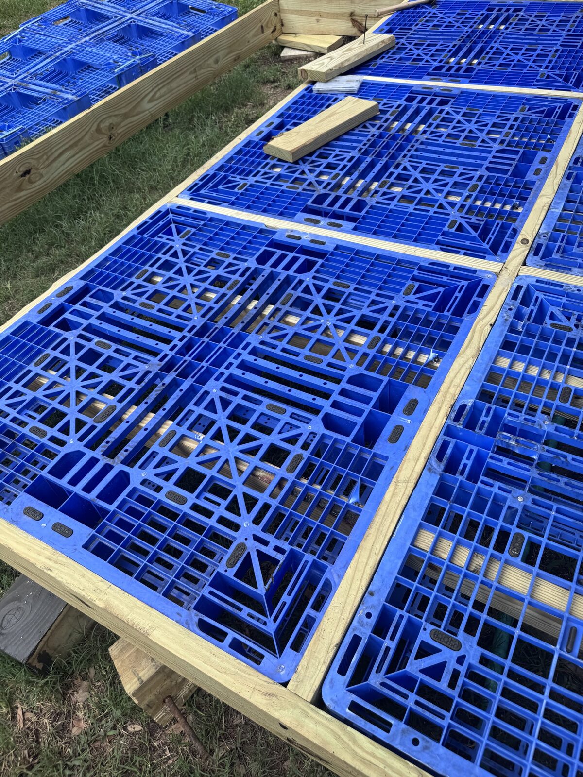 Blue pallets in the 2x6 grid with 2x4s through the fork openings.